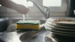 なぜ食器を一晩水に浸けておいてはいけないのか――キッチンに潜む危険