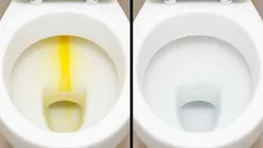 硬水はトイレを傷める——しかし、キッチンにある簡単なもので防ぐことができる