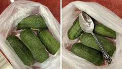 きゅうりが10日間もパリパリに? その秘密は、ごく普通のスプーン1杯にある