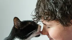 猫の習性：なぜ舐める行為は単なる愛情表現ではないのか